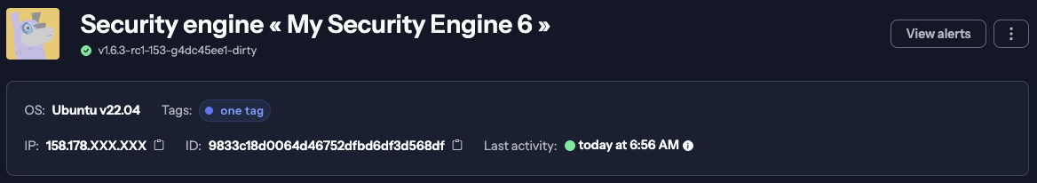 Security Engine details page